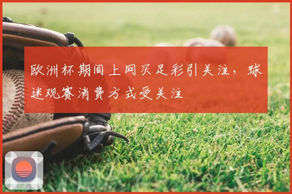 欧洲杯期间上网买足彩引关注,球迷观赛消费方式受关注
