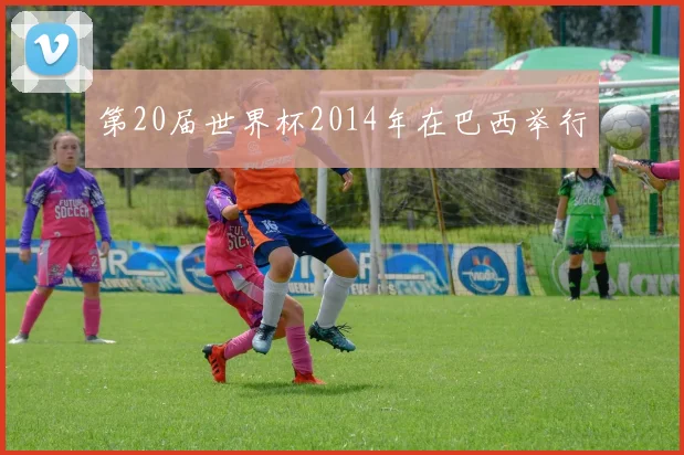 第20届世界杯2014年在巴西举行