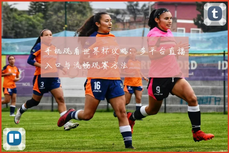 手机观看世界杯攻略:多平台直播入口与流畅观赛方法