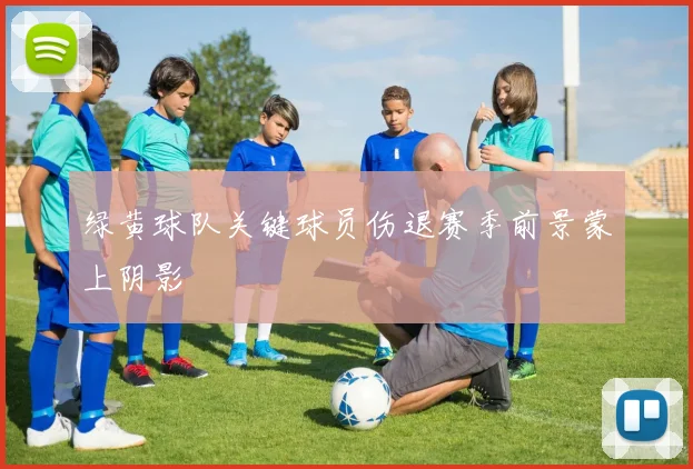 绿黄球队关键球员伤退赛季前景蒙上阴影