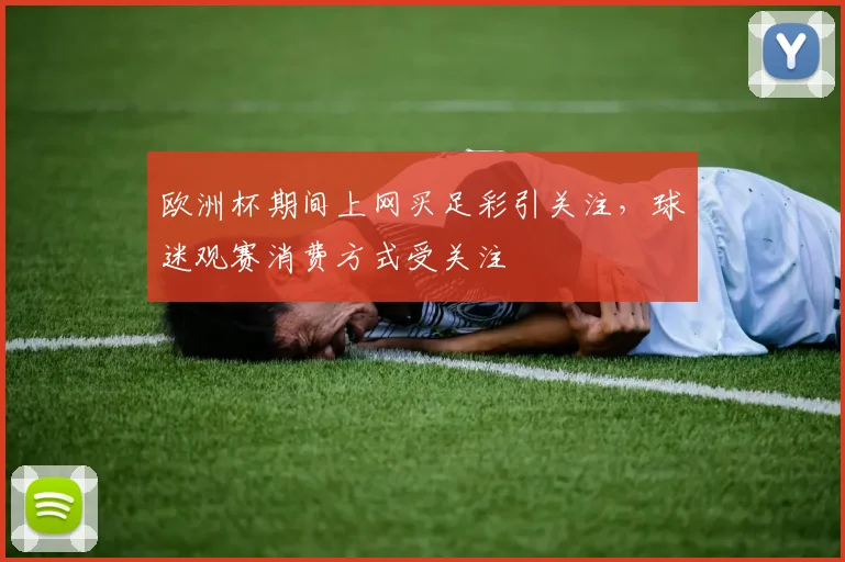 欧洲杯期间上网买足彩引关注,球迷观赛消费方式受关注